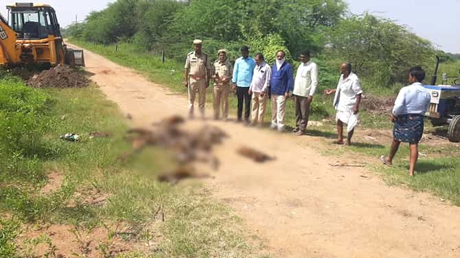 ಹತ್ತಾರು ಕೋತಿಗೆ ವಿಷವಿಕ್ಕಿ ಕೊಂದ ಮನುಷ್ಯರು! ಗ್ರಾನೈಟ್ ಬಿಸಿನೆಸ್​ ಕಾರಣವಾ