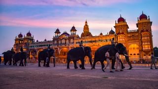 Mysore Dasara 2023: ಇಂದು ದಸರಾ ಗೋಲ್ಡ್​ ಕಾರ್ಡ್​ ಬಿಡುಗಡೆ: ದರ, ಖರೀದಿ ಹೇಗೆ? ಇಲ್ಲಿದೆ ಮಾಹಿತಿ