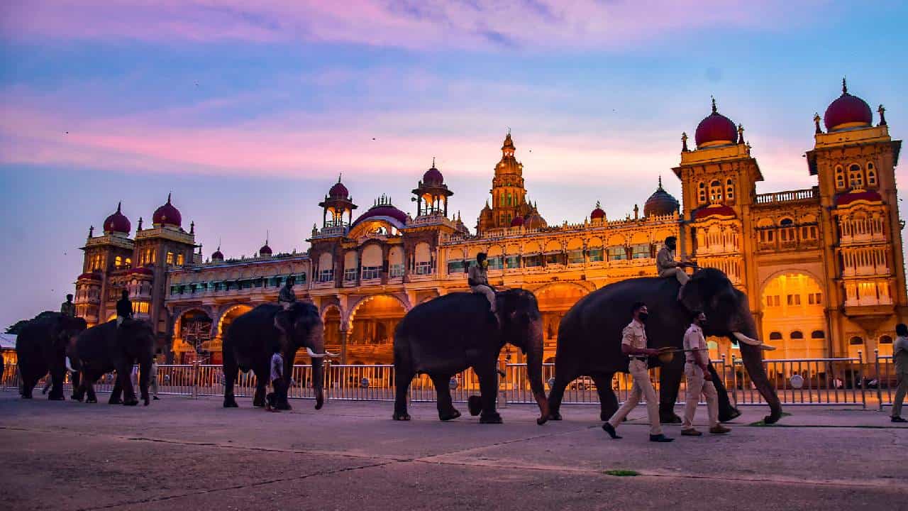 Mysuru Dasara 2023: ವಿಶ್ವವಿಖ್ಯಾತ ಮೈಸೂರು ದಸರಾ 3ನೇ ದಿನದ ಕಾರ್ಯಕ್ರಮಗಳ ವಿವರ Mysuru Dasara 2023: ವಿಶ್ವವಿಖ್ಯಾತ ಮೈಸೂರು ದಸರಾ 3ನೇ ದಿನದ ಕಾರ್ಯಕ್ರಮಗಳ ವಿವರ
