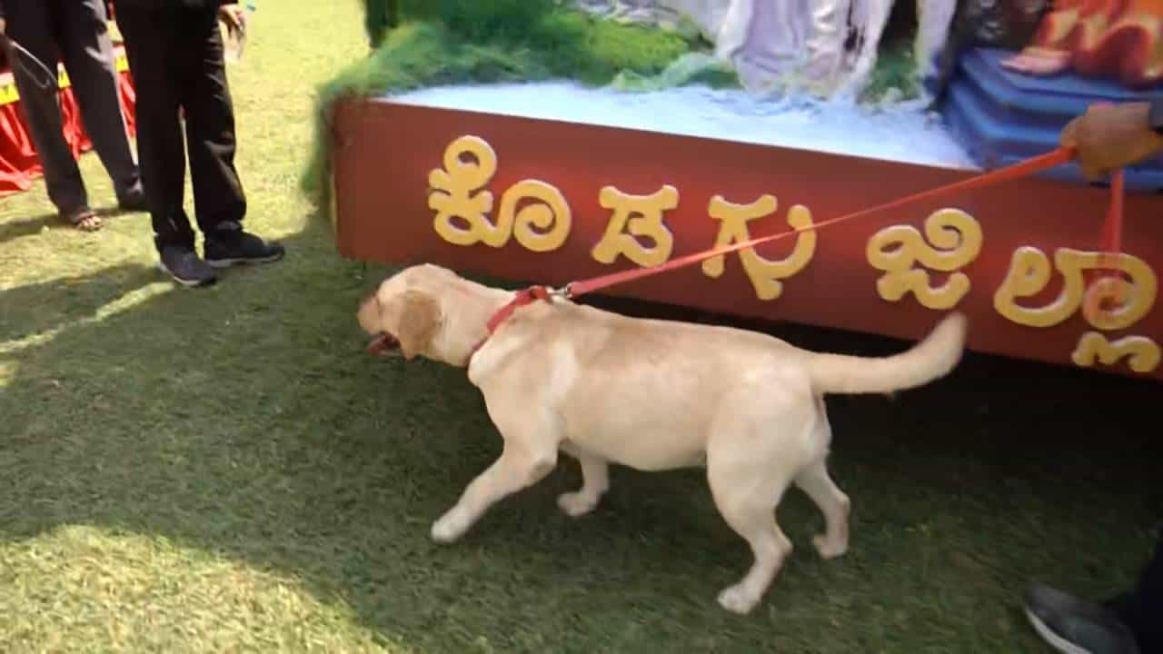 ಕೇಂದ್ರ ಗೃಹ ಇಲಾಖೆ ಸೂಚನೆ ಬೆನ್ನಲ್ಲೇ ಮೈಸೂರಿನಲ್ಲಿ ಖಾಕಿ ಹೈ ಅಲರ್ಟ್, ಬಾಂಬ್ ಸ್ಕ್ವಾಡ್, ಶ್ವಾನದಳದಿಂದ ಅರಮನೆ ಪರಿಶೀಲನೆ ಕೇಂದ್ರ ಗೃಹ ಇಲಾಖೆ ಸೂಚನೆ ಬೆನ್ನಲ್ಲೇ ಮೈಸೂರಿನಲ್ಲಿ ಖಾಕಿ ಹೈ ಅಲರ್ಟ್, ಬಾಂಬ್ ಸ್ಕ್ವಾಡ್, ಶ್ವಾನದಳದಿಂದ ಅರಮನೆ ಪರಿಶೀಲನೆ