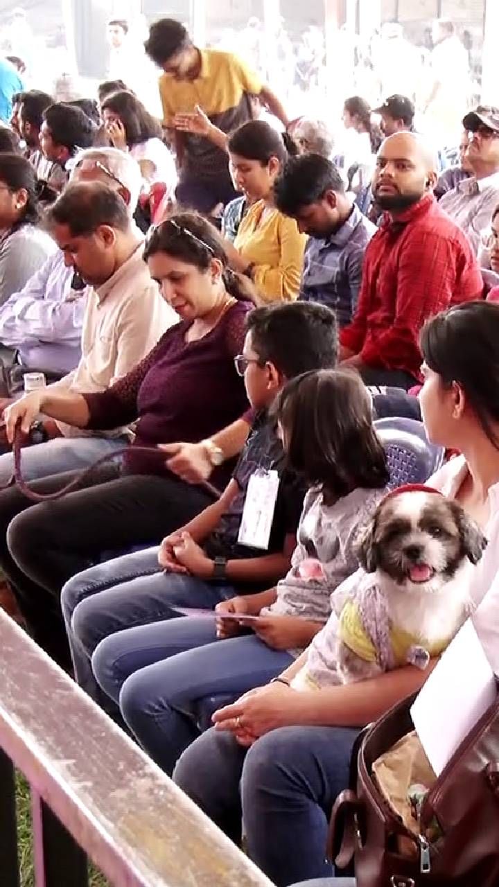 mysuru dog show (5)