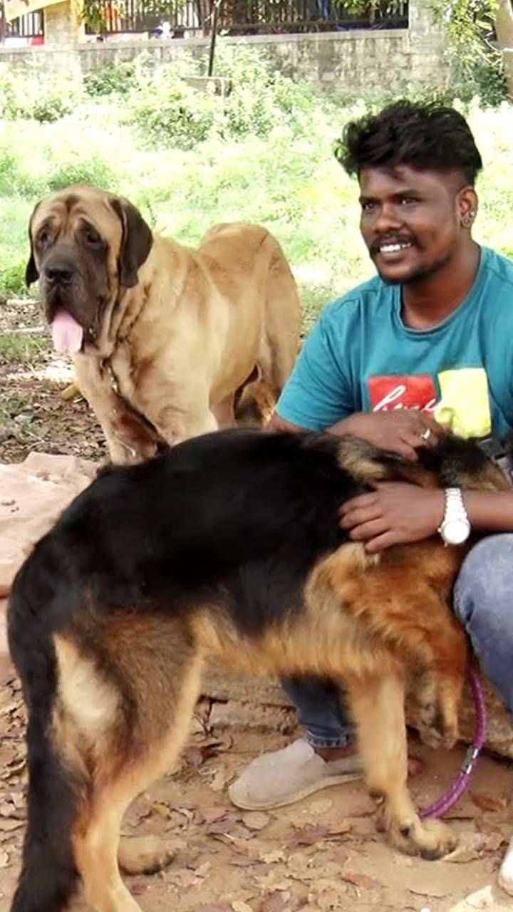 mysuru dog show