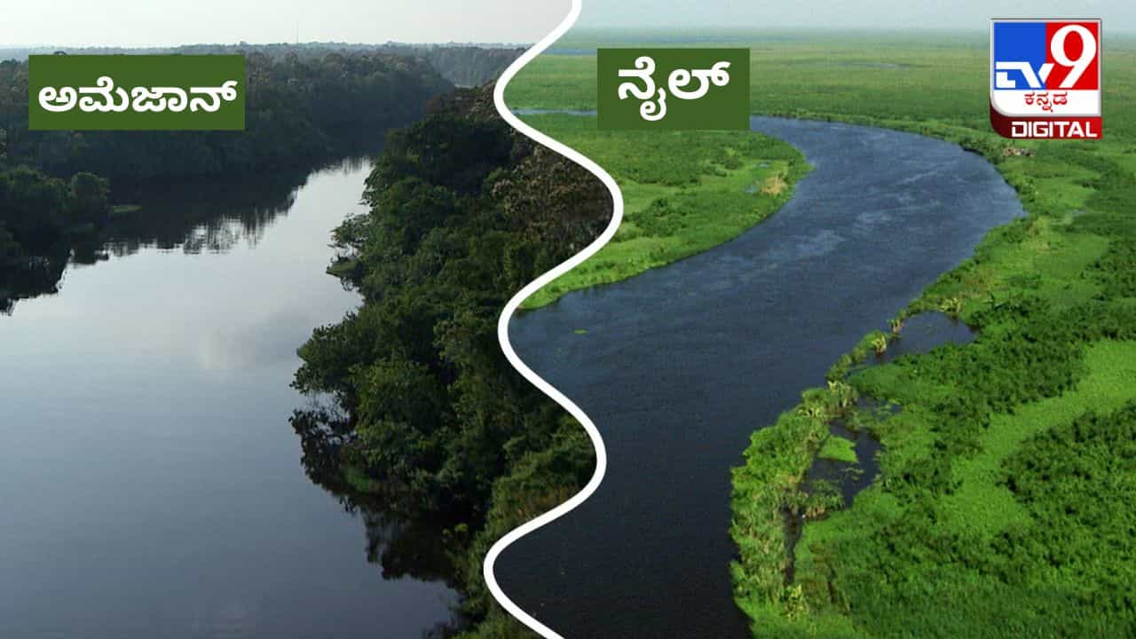 ʼನೈಲ್ ಅಥವಾ ಅಮೆಜಾನ್ʼ ವಿಶ್ವದ ಅತಿ ಉದ್ದದ ನದಿ ಯಾವುದು? ಶುರುವಾಗಲಿದೆ ಹೊಸ ಸಂಶೋಧನೆ ʼನೈಲ್ ಅಥವಾ ಅಮೆಜಾನ್ʼ ವಿಶ್ವದ ಅತಿ ಉದ್ದದ ನದಿ ಯಾವುದು? ಶುರುವಾಗಲಿದೆ ಹೊಸ ಸಂಶೋಧನೆ