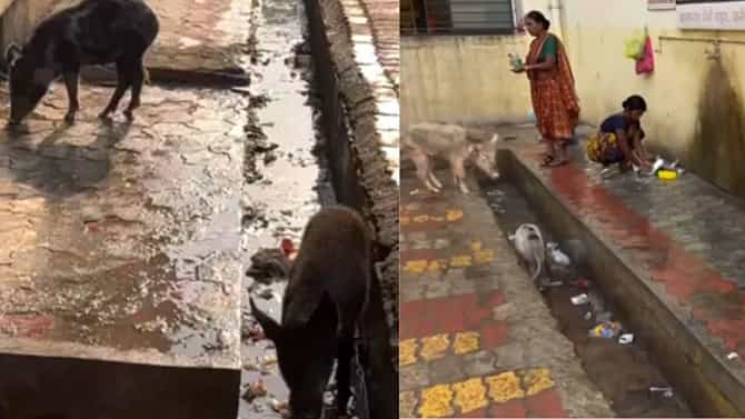ಸರ್ಕಾರಿ ಆಸ್ಪತ್ರೆಯಲ್ಲಿ 34ಗಂಟೆಗಳಲ್ಲಿ 31ರೋಗಿಗಳ ಸಾವು, ಕಾರಣವೇನು?