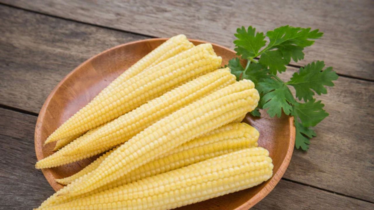 Health Benefits Of Baby Corn ಬೇಬಿ ಕಾರ್ನ್ ತಿನ್ನಲು ರುಚಿಕರ ಮಾತ್ರವಲ್ಲ