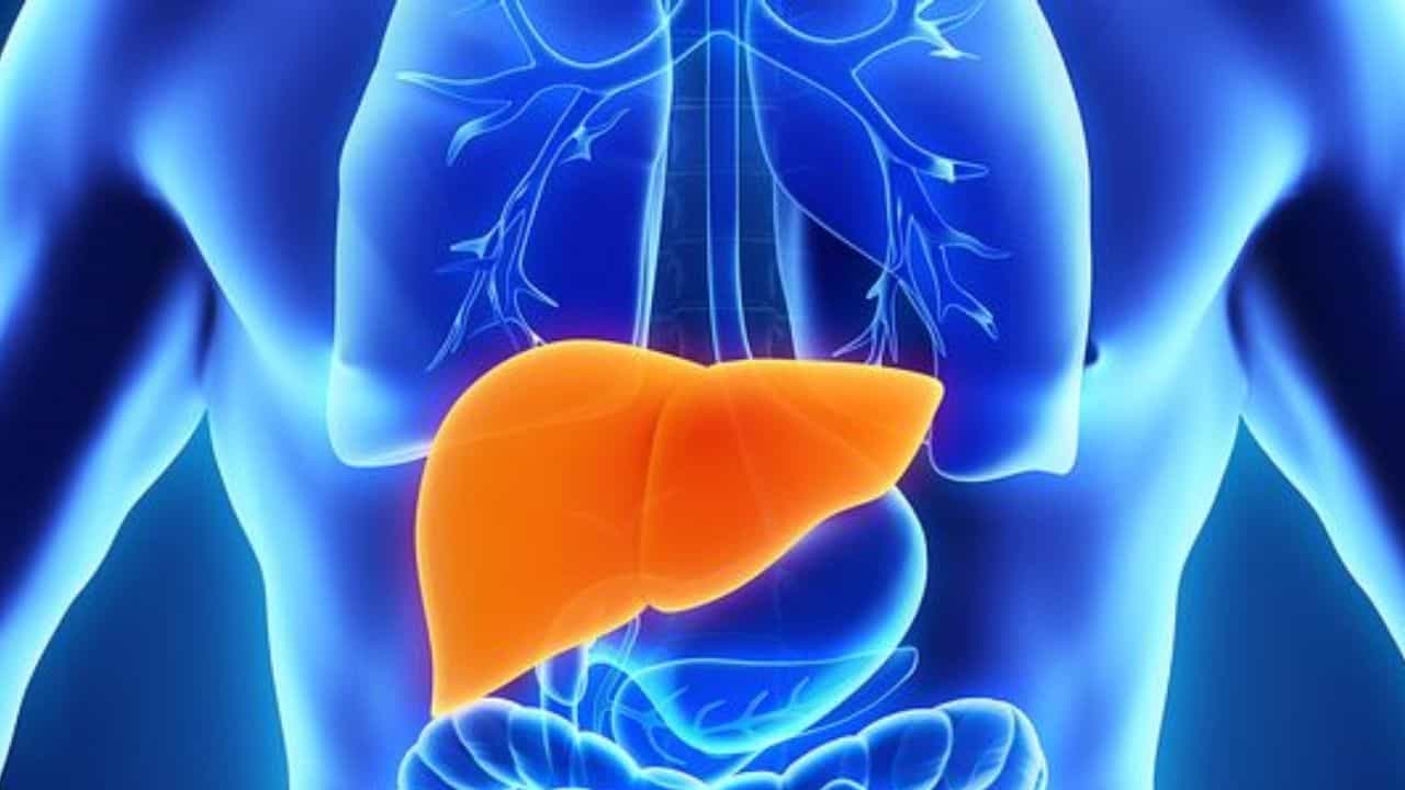 Liver Health: ಆಲ್ಕೋಹಾಲ್ ಮಾತ್ರವಲ್ಲ ಈ ಆಹಾರಗಳು ಕೂಡ ಲಿವರ್ನ ಆರೋಗ್ಯವನ್ನು ಹದಗೆಡಿಸಬಹುದು ಎಚ್ಚರ! Liver Health: ಆಲ್ಕೋಹಾಲ್ ಮಾತ್ರವಲ್ಲ ಈ ಆಹಾರಗಳು ಕೂಡ ಲಿವರ್ನ ಆರೋಗ್ಯವನ್ನು ಹದಗೆಡಿಸಬಹುದು ಎಚ್ಚರ!