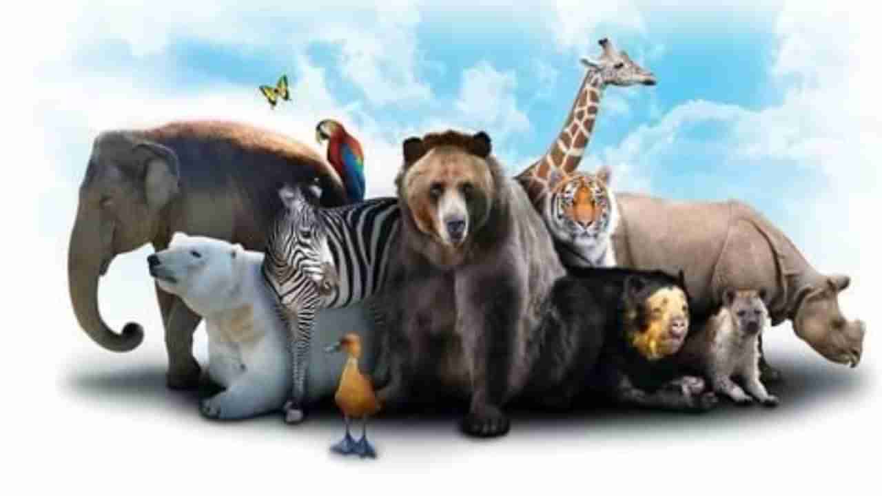 World Animal Welfare Day 2023: ವಿಶ್ವ ಪ್ರಾಣಿ ಕಲ್ಯಾಣ ದಿನವನ್ನು ಏಕೆ ಆಚರಿಸಲಾಗುತ್ತದೆ? ಅದರ ಇತಿಹಾಸ ಮಹತ್ವನ್ನು ತಿಳಿಯಿರಿ