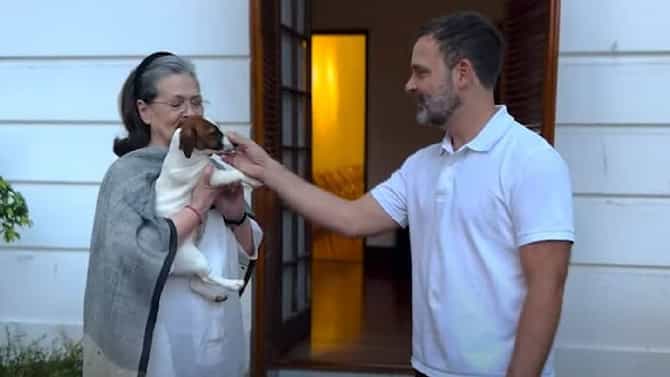 ನಾಯಿಮರಿಗೆ ನೂರಿ ಎಂದು ಹೆಸರಿಟ್ಟಿದ್ದೇಕೆ?; ರಾಹುಲ್ ಗಾಂಧಿ ವಿರುದ್ಧ ಆಕ್ರೋಶ