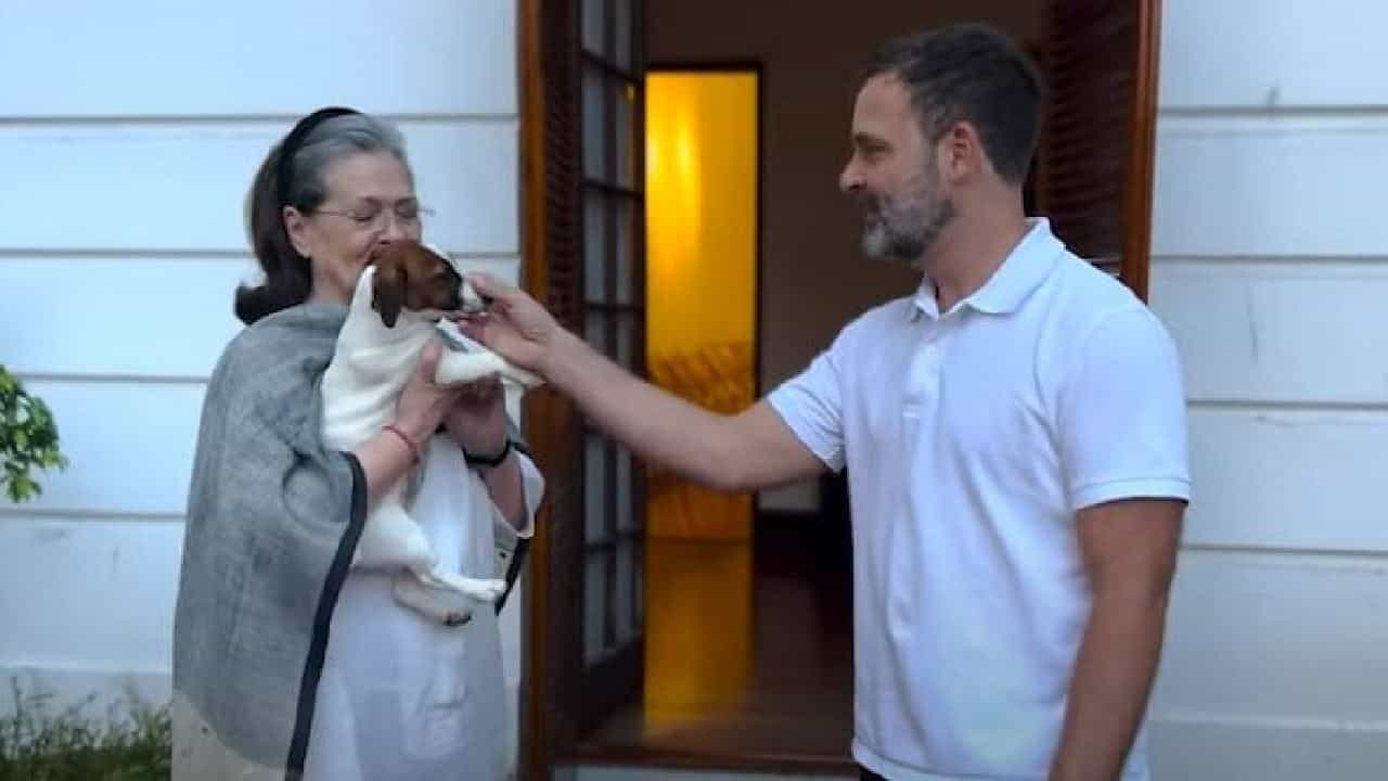 ಮುಸ್ಲಿಂ ಮಹಿಳೆಯರಿಗೆ ಮಾಡಿದ ಅವಮಾನ; ನಾಯಿಮರಿಗೆ ನೂರಿ ಎಂದು ಹೆಸರಿಟ್ಟ ರಾಹುಲ್ ಗಾಂಧಿ ವಿರುದ್ಧ ಆಕ್ರೋಶ ಮುಸ್ಲಿಂ ಮಹಿಳೆಯರಿಗೆ ಮಾಡಿದ ಅವಮಾನ; ನಾಯಿಮರಿಗೆ ನೂರಿ ಎಂದು ಹೆಸರಿಟ್ಟ ರಾಹುಲ್ ಗಾಂಧಿ ವಿರುದ್ಧ ಆಕ್ರೋಶ