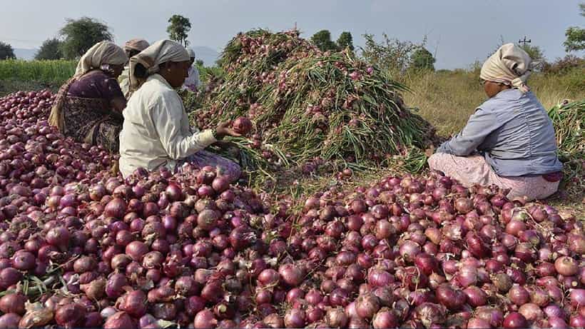 Onion Shocker: ಈರುಳ್ಳಿ ಬೆಲೆ ಏರಿಕೆ ತಡೆಯಲು ಸರ್ಕಾರ ಕ್ರಮ; ಕನಿಷ್ಠ ರಫ್ತು ದರ ನಿಗದಿ