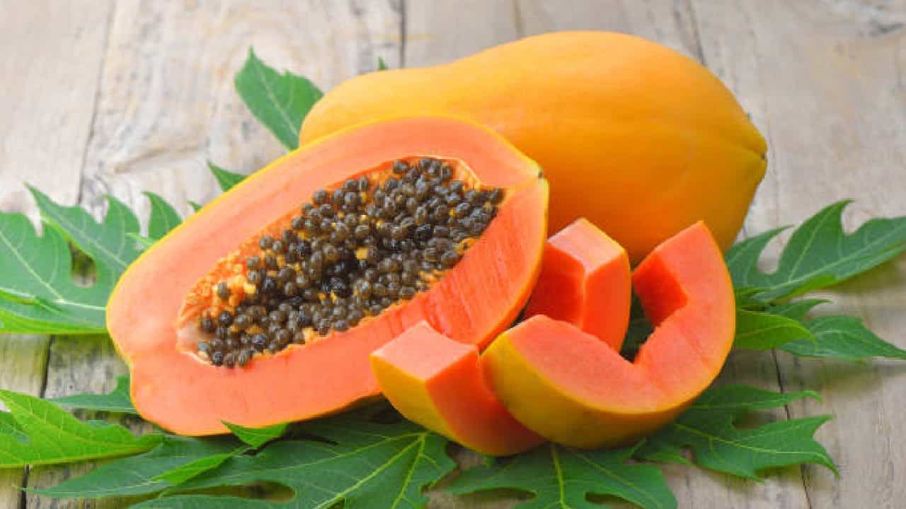 Papaya Benefits: ಪಪ್ಪಾಯಿ ಹಣ್ಣಿನಿಂದ ಚರ್ಮದ ಕಾಂತಿ ಹೆಚ್ಚಾಗುತ್ತಾ? Papaya Benefits: ಪಪ್ಪಾಯಿ ಹಣ್ಣಿನಿಂದ ಚರ್ಮದ ಕಾಂತಿ ಹೆಚ್ಚಾಗುತ್ತಾ?