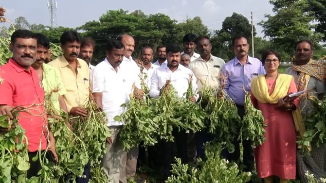 ಕೋಲಾರ ಜಿಲ್ಲೆಯಲ್ಲಿ ಆಲೂಗಡ್ಡೆ ಬೆಳೆದ ರೈತರಿಗೆ ಕೋಟಿ ಕೋಟಿ ನಷ್ಟ! ಕೋಲಾರ ಜಿಲ್ಲೆಯಲ್ಲಿ ಆಲೂಗಡ್ಡೆ ಬೆಳೆದ ರೈತರಿಗೆ ಕೋಟಿ ಕೋಟಿ ನಷ್ಟ!