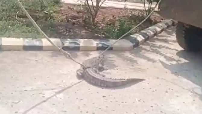 ಕರೆಂಟ್​​ ನೀಡದ್ದಕ್ಕೆ ಆಕ್ರೋಶ: ವಿದ್ಯುತ್ ಘಟಕಕ್ಕೆ ಮೊಸಳೆ ಬಿಟ್ಟ ರೈತರು