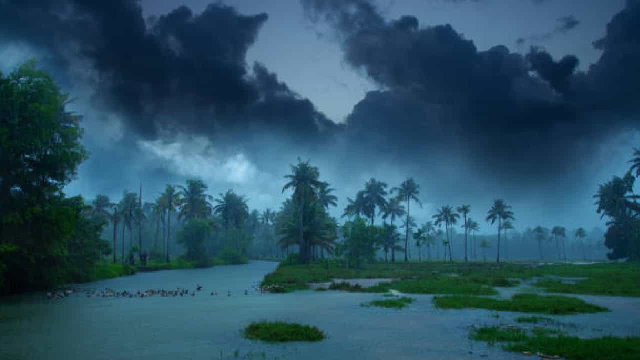 Karnataka Rains: ಕರ್ನಾಟಕದಲ್ಲಿ ಭಾನುವಾರದಿಂದ ಮಳೆ ಹೆಚ್ಚಳ; ಕರಾವಳಿಯಲ್ಲಿ ಹಳದಿ ಅಲರ್ಟ್ Karnataka Rains: ಕರ್ನಾಟಕದಲ್ಲಿ ಭಾನುವಾರದಿಂದ ಮಳೆ ಹೆಚ್ಚಳ; ಕರಾವಳಿಯಲ್ಲಿ ಹಳದಿ ಅಲರ್ಟ್