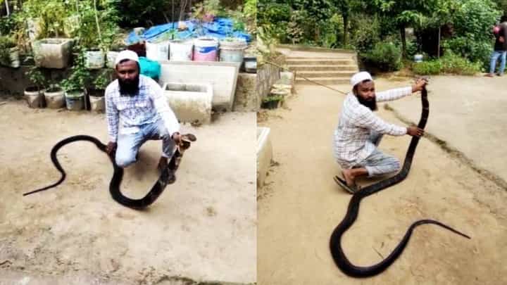ಹಾಸನ: ಬೃಹತ್ ಗಾತ್ರದ ಕಾಳಿಂಗ ಸರ್ಪ ನೋಡಿ ಕಂಗಾಲಾದ ಜನ; ಇಲ್ಲಿದೆ ವಿಡಿಯೋ ಹಾಸನ: ಬೃಹತ್ ಗಾತ್ರದ ಕಾಳಿಂಗ ಸರ್ಪ ನೋಡಿ ಕಂಗಾಲಾದ ಜನ; ಇಲ್ಲಿದೆ ವಿಡಿಯೋ