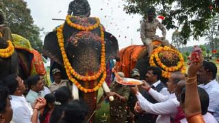 Pregnant elephant: ಗರ್ಭಿಣಿ ಆನೆಗೆ ತಾಲೀಮು ಹೆಸರಿನಲ್ಲಿ 3 ದಿನ ಚಿತ್ರಹಿಂಸೆ! ಜಂಬೂಸವಾರಿ ಹಿಂದಿನ ದಿನ ಮರಿ ಹಾಕಿದ ಆನೆ!