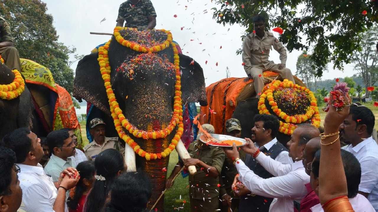 ಶಿವಮೊಗ್ಗ: ಕೊನೆ ಕ್ಷಣದಲ್ಲಿ ಜಂಬೂ ಸವಾರಿ ರದ್ದು, ಆನೆ ಬದಲು ವಾಹನದಲ್ಲಿ ದೇವಿ ಮೂರ್ತಿ ಮೆರವಣಿಗೆಗೆ ತೀರ್ಮಾನ