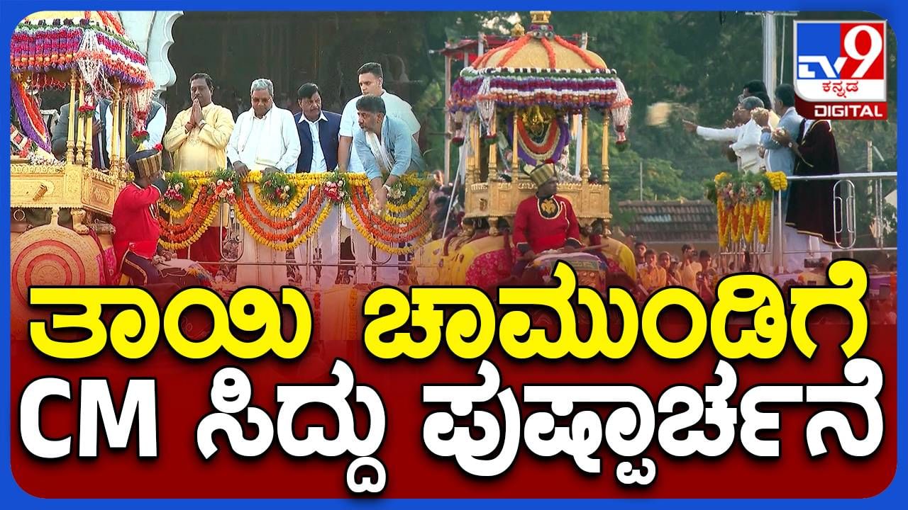 Mysore Dasara: ಜಂಬೂ ಸವಾರಿಗೆ ಶುರುವಾಗುವ ಮುನ್ನ ಅಂಬಾರಿಯಲ್ಲಿದ್ದ ಚಾಮುಂಡೇಶ್ವರಿಗೆ ಪುಷ್ಪಾರ್ಚನೆ ಮಾಡಿದ ಸಿದ್ದರಾಮಯ್ಯ ಮತ್ತು ಇತರ ಗಣ್ಯರು