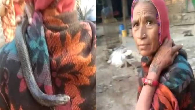ನನ್ನ ಮಗನ ಪುನರ್ಜನ್ಮ; ಮನೆಗೆ ನುಗ್ಗಿದ ನಾಗರಹಾವನ್ನು ಮುದ್ದಾಡಿದ ಮಹಿಳೆ! ನನ್ನ ಮಗನ ಪುನರ್ಜನ್ಮ; ಮನೆಗೆ ನುಗ್ಗಿದ ನಾಗರಹಾವನ್ನು ಮುದ್ದಾಡಿದ ಮಹಿಳೆ!