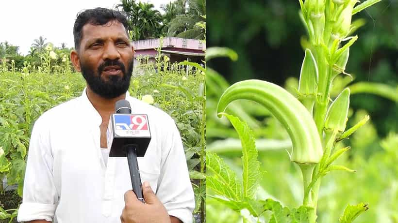 ಉಡುಪಿ: ಸಮಗ್ರ ಕೃಷಿ ವಿಧಾನ ಅನುಸರಿಸಿ ಯಶಸ್ಸು ಕಂಡ ರೈತ; ಇಲ್ಲಿದೆ ವಿವರ