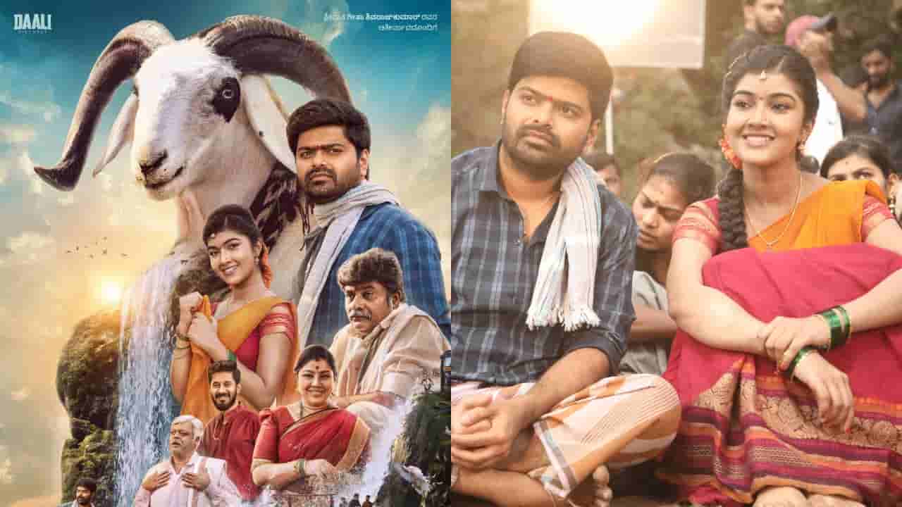 ಹಿಟ್ ಆಯ್ತು ‘ಟಗರು ಪಲ್ಯ’, ರೀಮೇಕ್​ಗೂ ಬೇಡಿಕೆ, ಡಾಲಿ ಖುಷಿಗೆ ಪಾರವಿಲ್ಲ