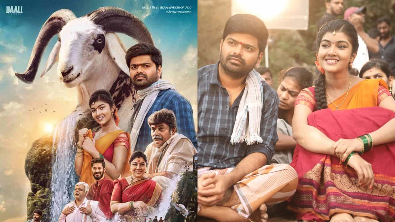 ಹಿಟ್ ಆಯ್ತು ‘ಟಗರು ಪಲ್ಯ’, ರೀಮೇಕ್​ಗೂ ಬೇಡಿಕೆ, ಡಾಲಿ ಖುಷಿಗೆ ಪಾರವಿಲ್ಲ