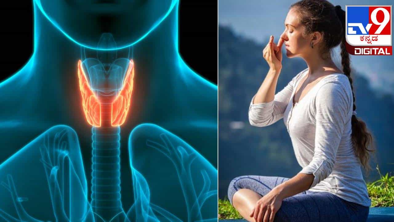 Thyroid Disease: ಥೈರಾಯ್ಡ್ ಸಮಸ್ಯೆಗೆ ಹೆದರಬೇಕಿಲ್ಲ; ಈ 5 ಅಂಶಗಳನ್ನು ಅನುಸರಿಸಿ Thyroid Disease: ಥೈರಾಯ್ಡ್ ಸಮಸ್ಯೆಗೆ ಹೆದರಬೇಕಿಲ್ಲ; ಈ 5 ಅಂಶಗಳನ್ನು ಅನುಸರಿಸಿ