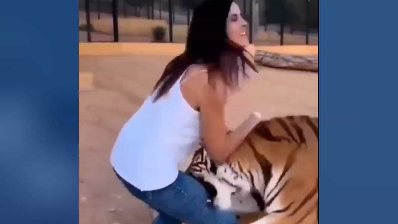 Viral Video: ಹುಲಿಗಳನ್ನು ಸಾಕಲಾಗದು; ಈ ಯುವತಿ ಯಾಕೆ ಅಪಾಯಕ್ಕೆ ಒಡ್ಡಿಕೊಳ್ಳುತ್ತಿದ್ದಾಳೆ ಎನ್ನುತ್ತಿರುವ ನೆಟ್ಟಿಗರು Viral Video: ಹುಲಿಗಳನ್ನು ಸಾಕಲಾಗದು; ಈ ಯುವತಿ ಯಾಕೆ ಅಪಾಯಕ್ಕೆ ಒಡ್ಡಿಕೊಳ್ಳುತ್ತಿದ್ದಾಳೆ ಎನ್ನುತ್ತಿರುವ ನೆಟ್ಟಿಗರು
