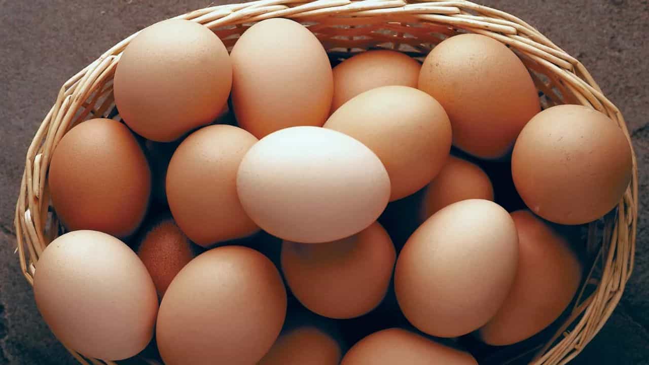 Egg Storage Tips: ಮೊಟ್ಟೆಗಳನ್ನು ಈ ರೀತಿ ಶೇಖರಿಸಿಟ್ಟರೆ ಹಲವು ದಿನಗಳವರೆಗೆ ಕೆಡುವುದಿಲ್ಲ Egg Storage Tips: ಮೊಟ್ಟೆಗಳನ್ನು ಈ ರೀತಿ ಶೇಖರಿಸಿಟ್ಟರೆ ಹಲವು ದಿನಗಳವರೆಗೆ ಕೆಡುವುದಿಲ್ಲ