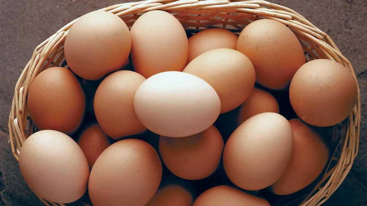 Egg Storage Tips: ಮೊಟ್ಟೆಗಳನ್ನು ಈ ರೀತಿ ಶೇಖರಿಸಿಟ್ಟರೆ ಹಲವು ದಿನಗಳವರೆಗೆ  ಕೆಡುವುದಿಲ್ಲ