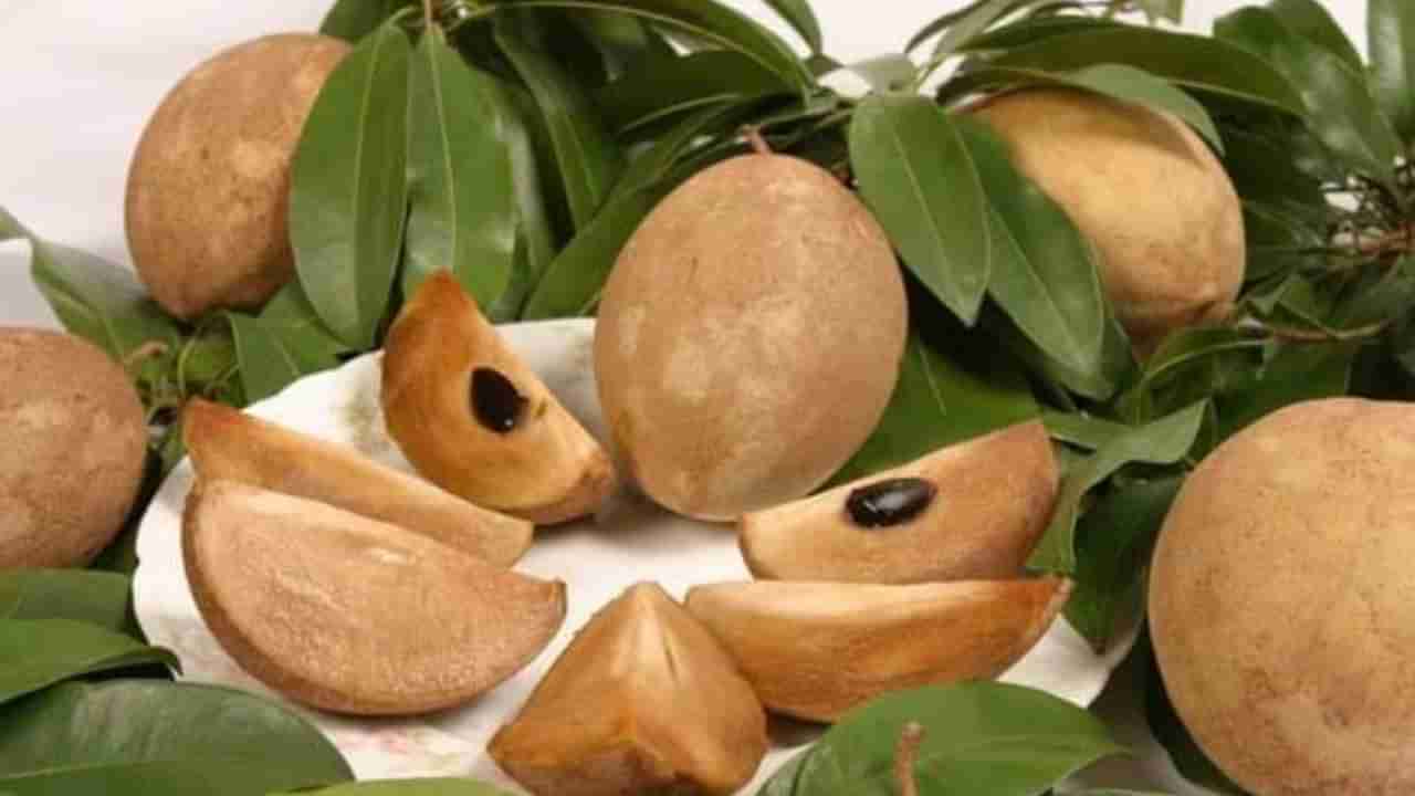 Chikoo Benefits In Winter: ಚಳಿಗಾಲದಲ್ಲಿ ಸಪೋಟಾ ಹಣ್ಣು ಸೇವಿಸುವುದು ಉತ್ತಮ, ಇದರಲ್ಲಿ ಈ ಆರೋಗ್ಯ ಪ್ರಯೋಜನ