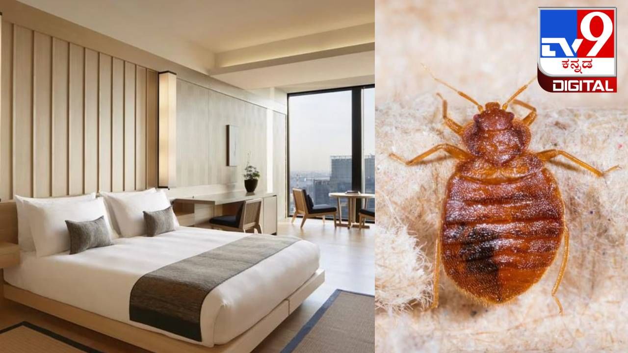 ದಿನಕ್ಕೆ 17,000 ರೂ ಬಾಡಿಗೆ ನೀಡಿ ಹೋಟೆಲ್‌ ರೂಮ್ ನಲ್ಲಿ ಮಲಗಿದ್ದ ಮಹಿಳೆಗೆ ಒಂದೇ