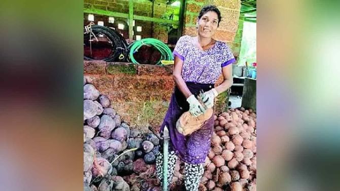ಮಂಗಳೂರು: ಅರ್ಧ ದಿನದಲ್ಲಿ 1 ಸಾವಿರ ತೆಂಗಿನಕಾಯಿ ಸುಲಿಯುವ ಮಹಿಳೆ