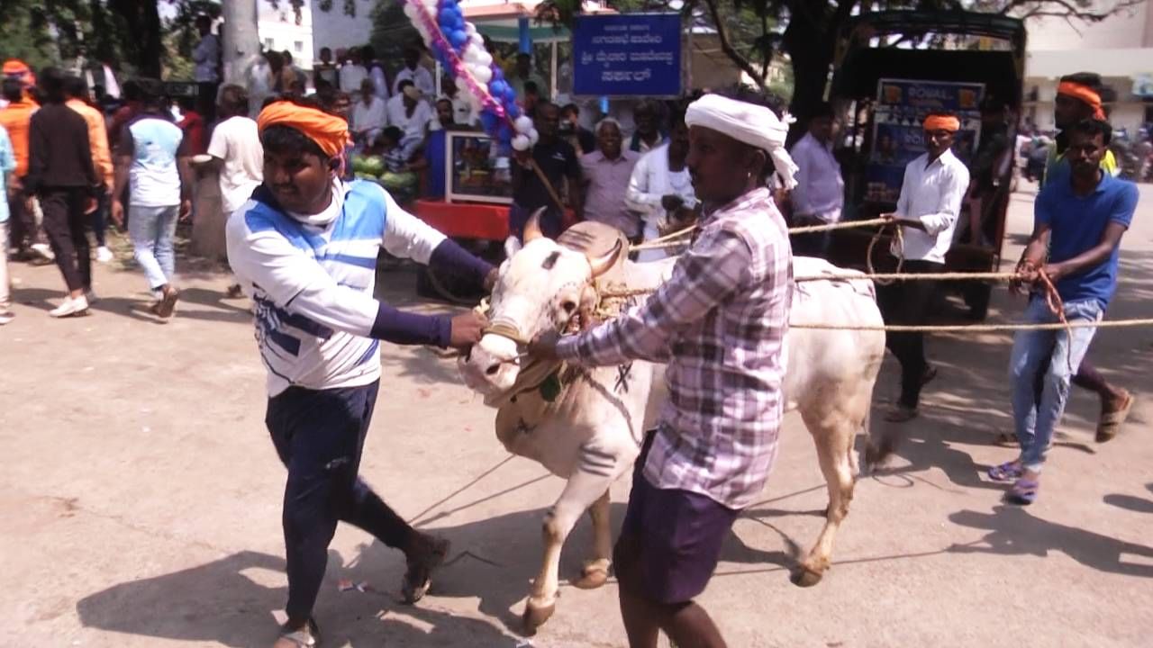 ಇಂದಿನಂದ ಜಿಲ್ಲೆಯ ಹಲವು ಕೆಗಳಲ್ಲಿ ಹೋರಿ ಬೇದರಿಸುವ ಸ್ಪರ್ಧೆಗಳಿಗೆ ಚಾಲನೆ ಸಿಕ್ಕಿದ್ದು, ಸ್ಪರ್ಧೆಗೆ ಹಾವೇರಿ ಜಿಲ್ಲೆಯ ವಿವಿಧ ತಾಲೂಕಿನಿಂದ ಇನ್ನೂರಕ್ಕೂ ಅಧಿಕ ಹೋರಿಗಳು ಬಂದಿದ್ದವು.