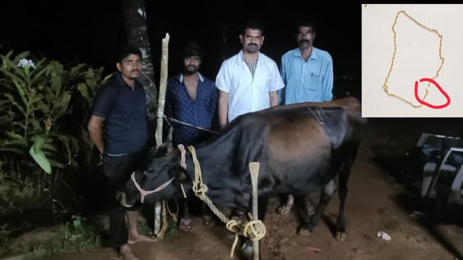 ಗೋಪೂಜೆ ವೇಳೆ ಪೂಜೆಗಿಟ್ಟಿದ್ದ ಬಂಗಾರದ ಸರ ನುಂಗಿದ ಹಸು! ಗೋಪೂಜೆ ವೇಳೆ ಪೂಜೆಗಿಟ್ಟಿದ್ದ ಬಂಗಾರದ ಸರ ನುಂಗಿದ ಹಸು!
