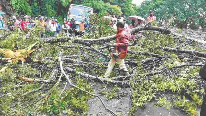 ತಮಿಳುನಾಡು: ಊಟಿ ಪ್ರವಾಸಕ್ಕೆ ಪ್ಲಾನ್ ಮಾಡಿದ್ದೀರಾ? ಆದರೆ ತಕ್ಷಣ ರದ್ದು ಮಾಡಿ, ಏಕೆಂದರೆ.. ತಮಿಳುನಾಡು: ಊಟಿ ಪ್ರವಾಸಕ್ಕೆ ಪ್ಲಾನ್ ಮಾಡಿದ್ದೀರಾ? ಆದರೆ ತಕ್ಷಣ ರದ್ದು ಮಾಡಿ, ಏಕೆಂದರೆ..