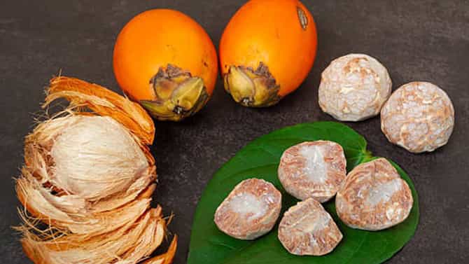Arecanut Price 08 Nov: ಇಂದಿನ ಅಡಿಕೆ ಧಾರಣೆ ಮತ್ತು ಕೋಕೋ ದರ ಹೀಗಿದೆ