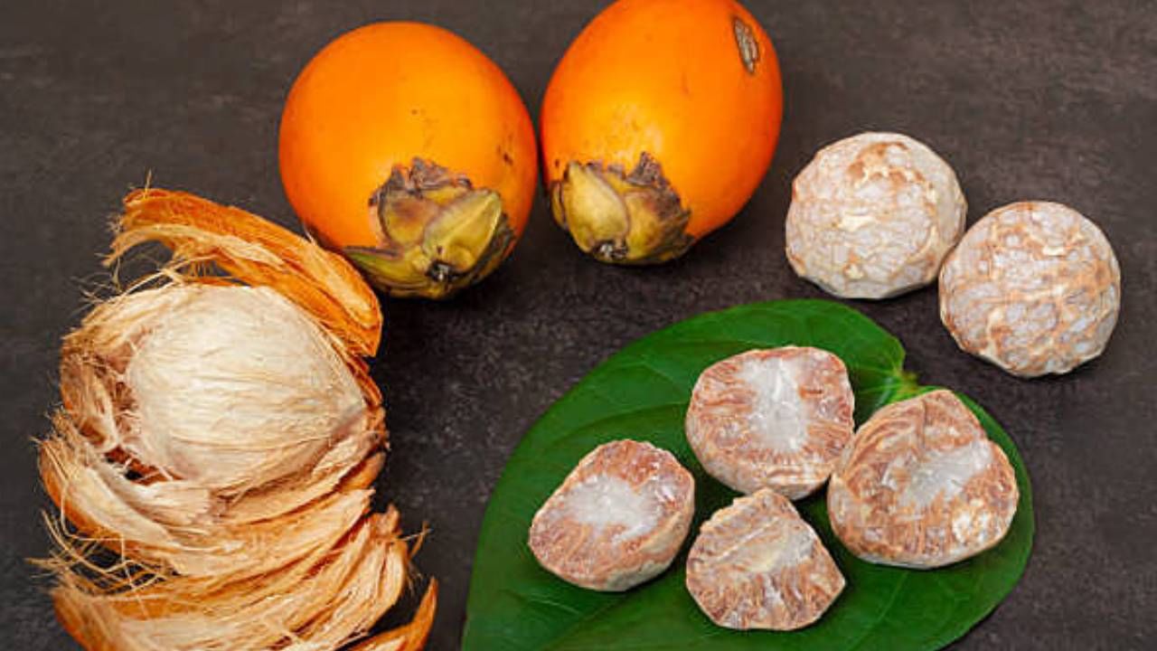 Arecanut Price 08 Nov: ರಾಜ್ಯದ ಪ್ರಮುಖ ಮಾರುಕಟ್ಟೆಯಲ್ಲಿ ಇಂದಿನ ಅಡಿಕೆ ಧಾರಣೆ ಮತ್ತು ಕೋಕೋ ದರ