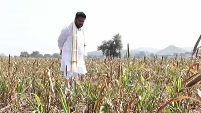 ಬಳ್ಳಾರಿ: ಜಿಲ್ಲೆಯಲ್ಲಿ ಸಚಿವರಿಂದ ಬರ ವೀಕ್ಷಣೆ: ಅನುದಾನಕ್ಕೆ ಒತ್ತಾಯ
