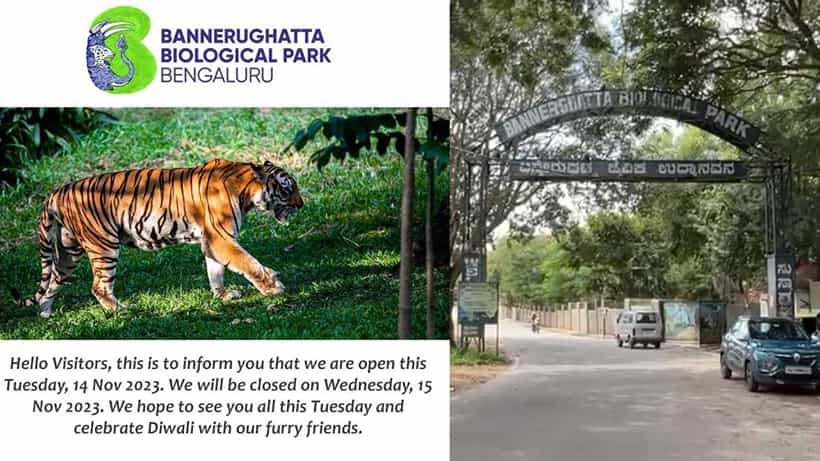 ಪ್ರವಾಸಿಗರಿಗೆ ಗುಡ್ ನ್ಯೂಸ್: ಮಂಗಳವಾರವೂ ಬನ್ನೇರುಘಟ್ಟ ಉದ್ಯಾನವನ ಓಪನ್