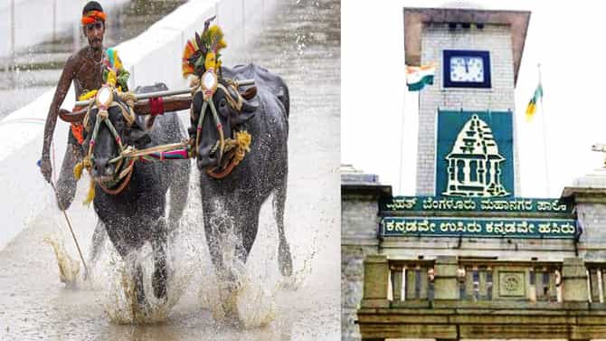 ಬೆಂಗಳೂರು ಕಂಬಳ ಆಯೋಜಕರಿಗೆ ಬಿಬಿಎಂಪಿ ಶಾಕ್; ಬ್ಯಾನರ್ ಹಾಕಿದ್ದಕ್ಕೆ ದಂಡ