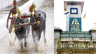 Bengaluru Kambala: ಬೆಂಗಳೂರು ಕಂಬಳದಲ್ಲಿ ಅಂಕದ ಕೋಳಿಗಳ ಲಕ್ಕಿ ಡ್ರಾ, ಯಾರಿಗುಂಟು.. ಯಾರಿಗಿಲ್ಲ..