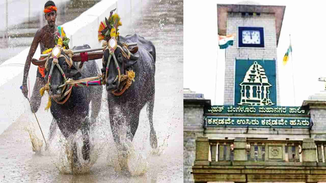 ಬೆಂಗಳೂರು ಕಂಬಳ ಆಯೋಜಕರಿಗೆ ಬಿಬಿಎಂಪಿ ಶಾಕ್; ಬ್ಯಾನರ್, ಫ್ಲೆಕ್ಸ್ ಹಾಕಿದ್ದಕ್ಕೆ ದಂಡ