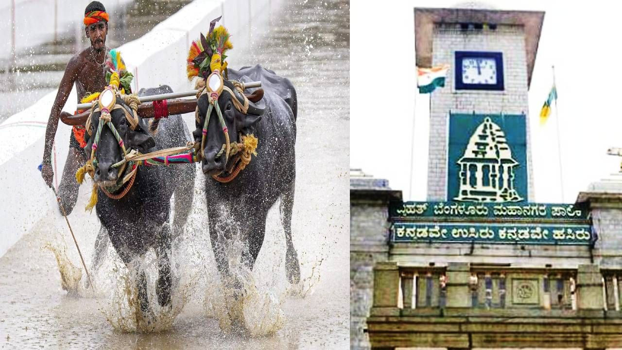 ಬೆಂಗಳೂರು ಕಂಬಳ ಆಯೋಜಕರಿಗೆ ಬಿಬಿಎಂಪಿ ಶಾಕ್; ಬ್ಯಾನರ್, ಫ್ಲೆಕ್ಸ್ ಹಾಕಿದ್ದಕ್ಕೆ ದಂಡ