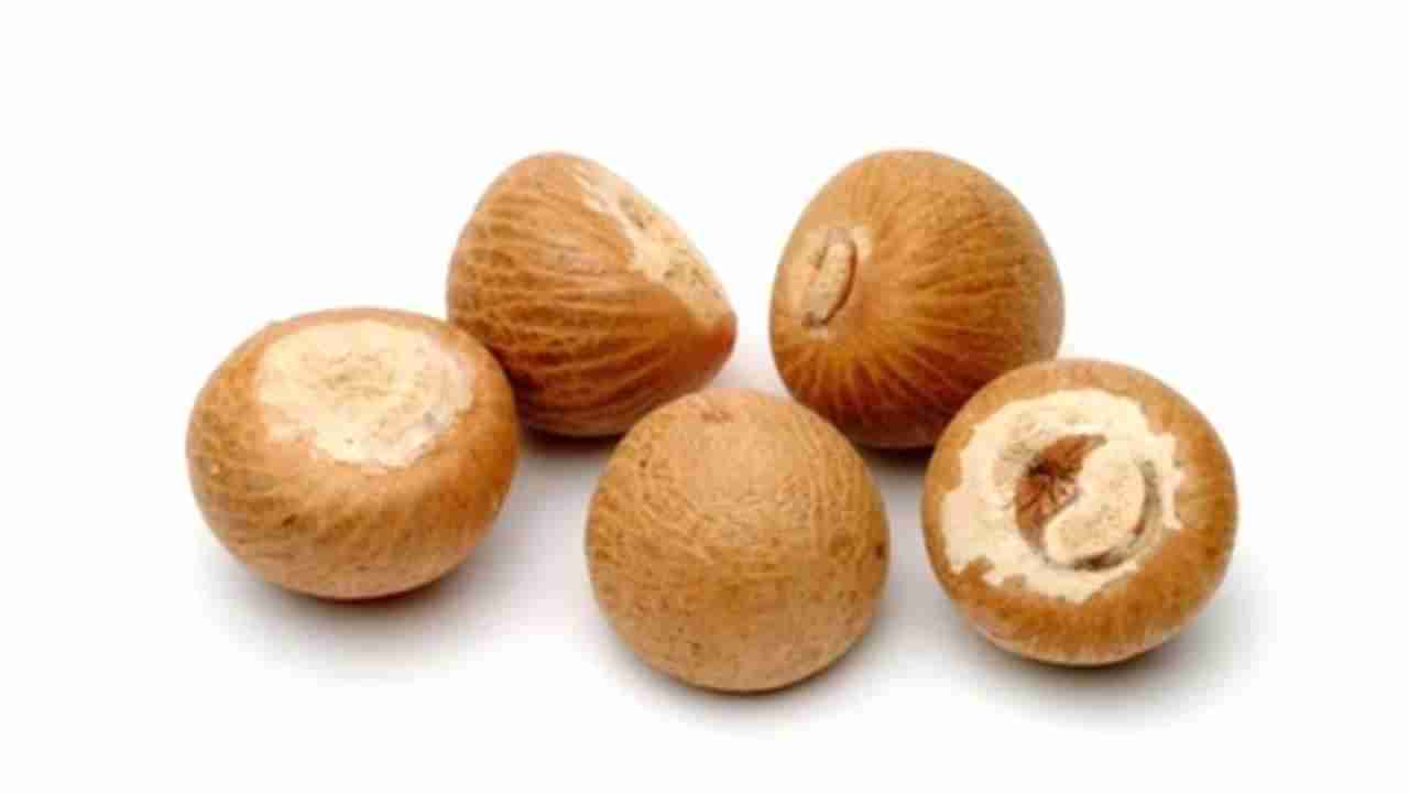 Arecanut Price 24 Nov: ಪ್ರಮುಖ ಮಾರುಕಟ್ಟೆಯಲ್ಲಿ ಇಂದಿನ ಅಡಿಕೆ ಮತ್ತು ಕೋಕೋ ರೇಟ್ ಹೀಗಿದೆ