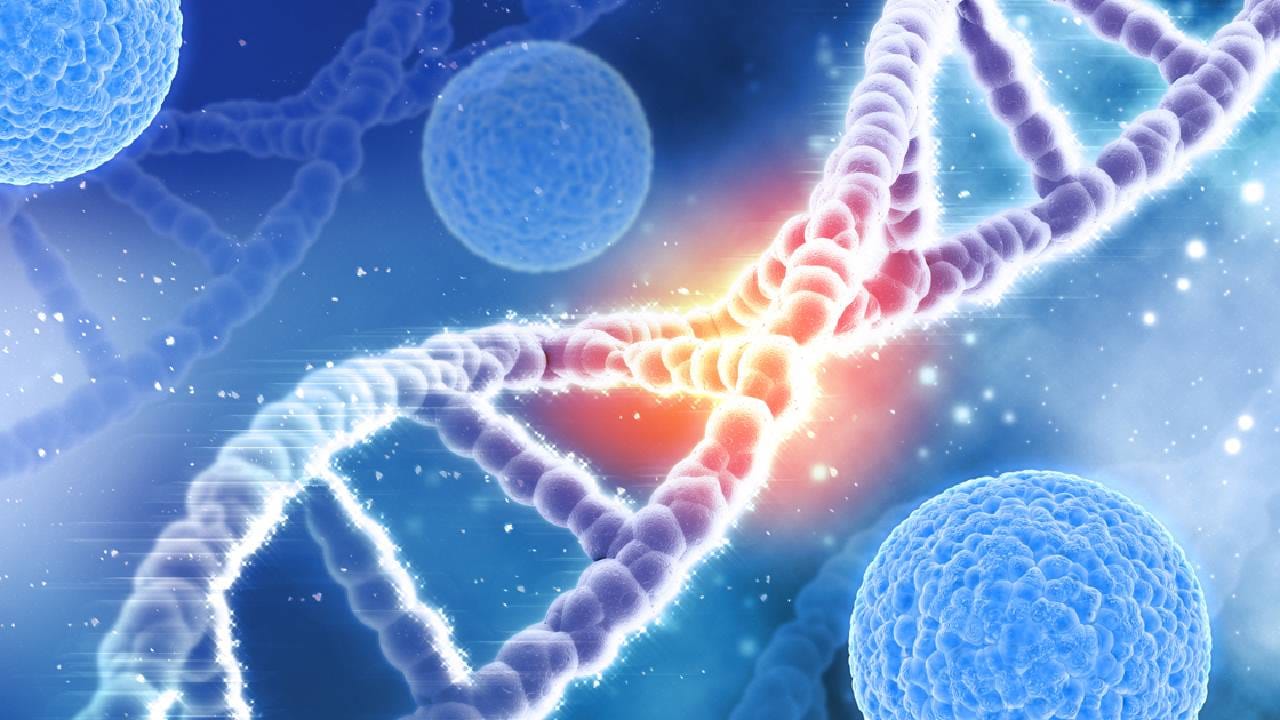 Cancer Genetics: ಕುಟುಂಬದಲ್ಲಿ ಯಾರಿಗಾದರೂ ಕ್ಯಾನ್ಸರ್ ಇದ್ದರೆ, ನೀವು ಸಹ ಮುನ್ನೆಚ್ಚರಿಕೆ ತೆಗೆದುಕೊಳ್ಳುವುದು ಅಗತ್ಯ Cancer Genetics: ಕುಟುಂಬದಲ್ಲಿ ಯಾರಿಗಾದರೂ ಕ್ಯಾನ್ಸರ್ ಇದ್ದರೆ, ನೀವು ಸಹ ಮುನ್ನೆಚ್ಚರಿಕೆ ತೆಗೆದುಕೊಳ್ಳುವುದು ಅಗತ್ಯ