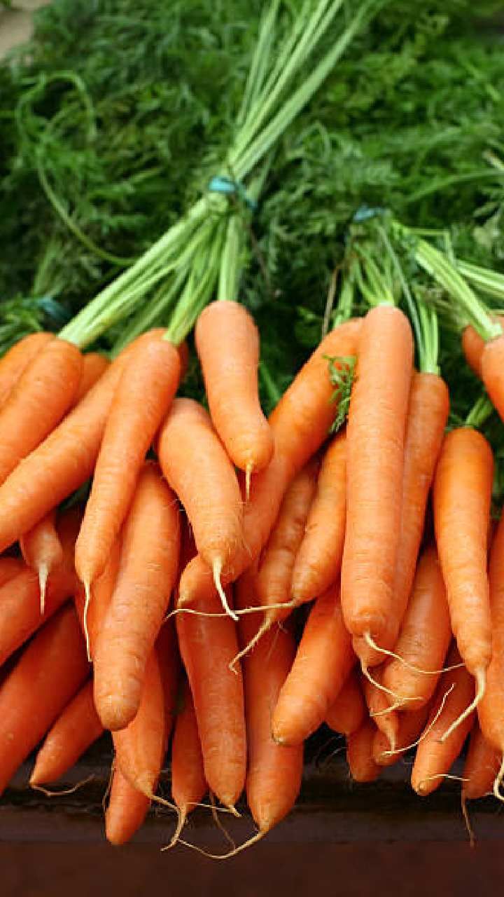 carrot 4