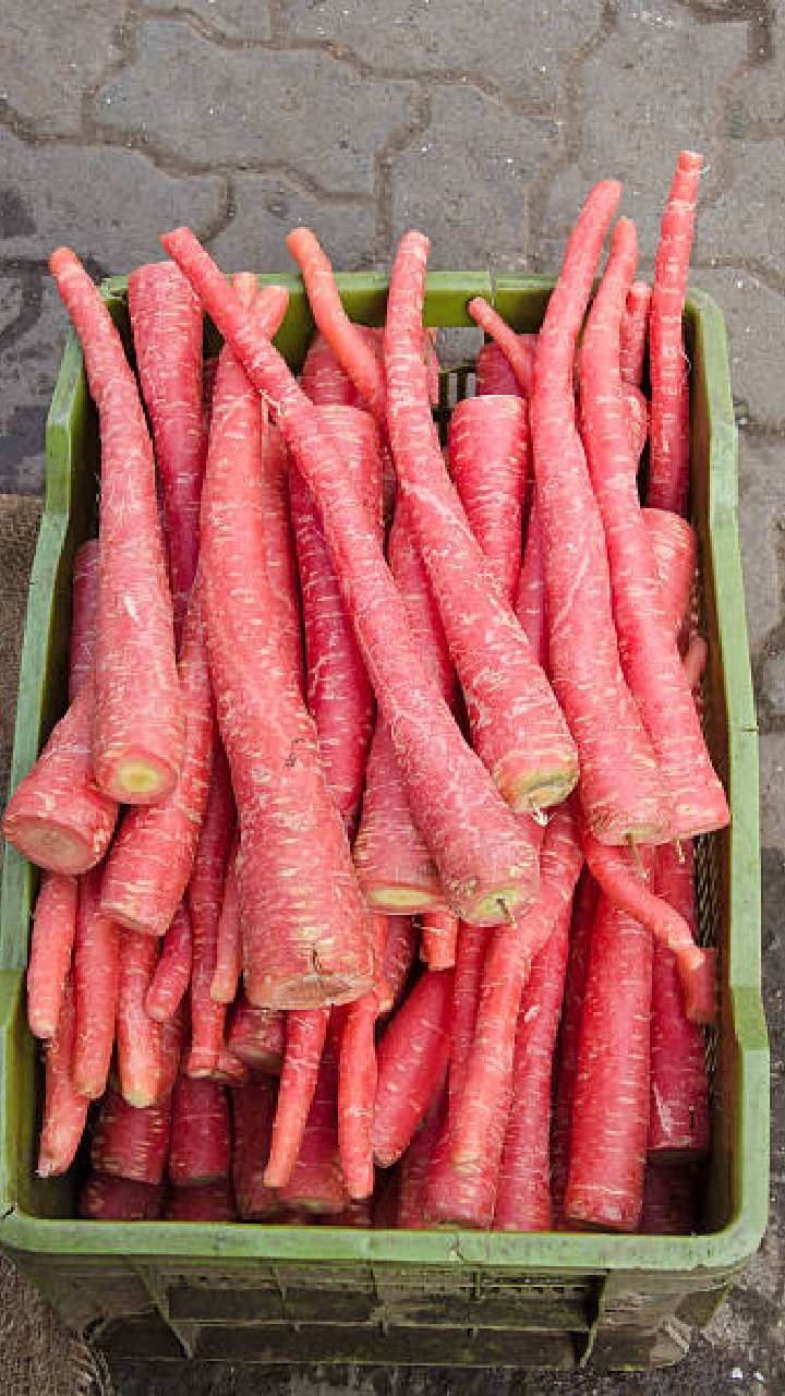 carrot 5