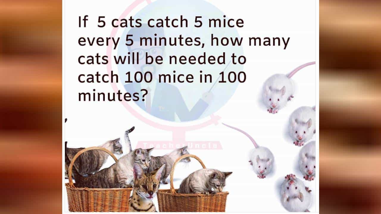Viral Brain Teaser: ಇದು ಬೆಕ್ಕುಇಲಿಗಳ ಒಗಟು, ನೀವು ಮಾತ್ರ ಇದನ್ನು ಬಿಡಿಸಲು ಸಾಧ್ಯ Viral Brain Teaser: ಇದು ಬೆಕ್ಕುಇಲಿಗಳ ಒಗಟು, ನೀವು ಮಾತ್ರ ಇದನ್ನು ಬಿಡಿಸಲು ಸಾಧ್ಯ