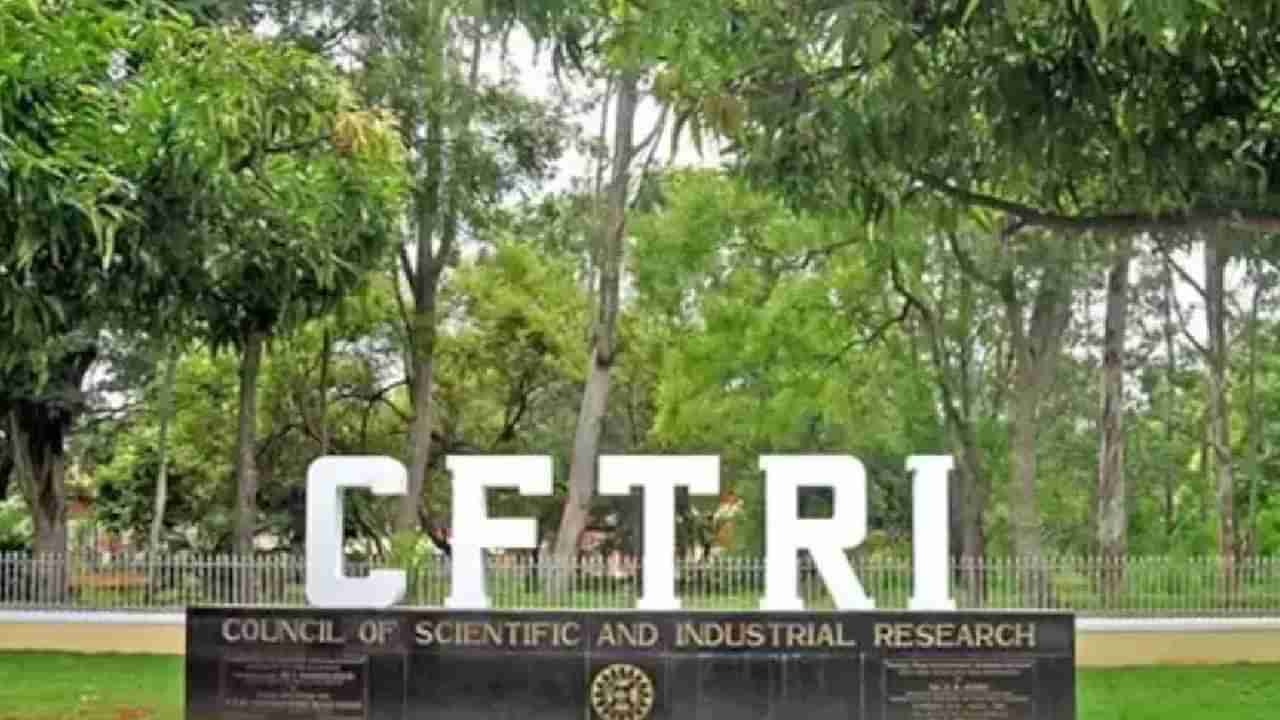 CFTRI Recruitment 2023: 02 ಪ್ರಾಜೆಕ್ಟ್ ಅಸೋಸಿಯೇಟ್-I, ರಿಸರ್ಚ್ ಅಸೋಸಿಯೇಟ್-I ಪೋಸ್ಟ್‌ಗಳಿಗೆ ಆನ್‌ಲೈನ್‌ನಲ್ಲಿ ಅರ್ಜಿ ಸಲ್ಲಿಸಿ